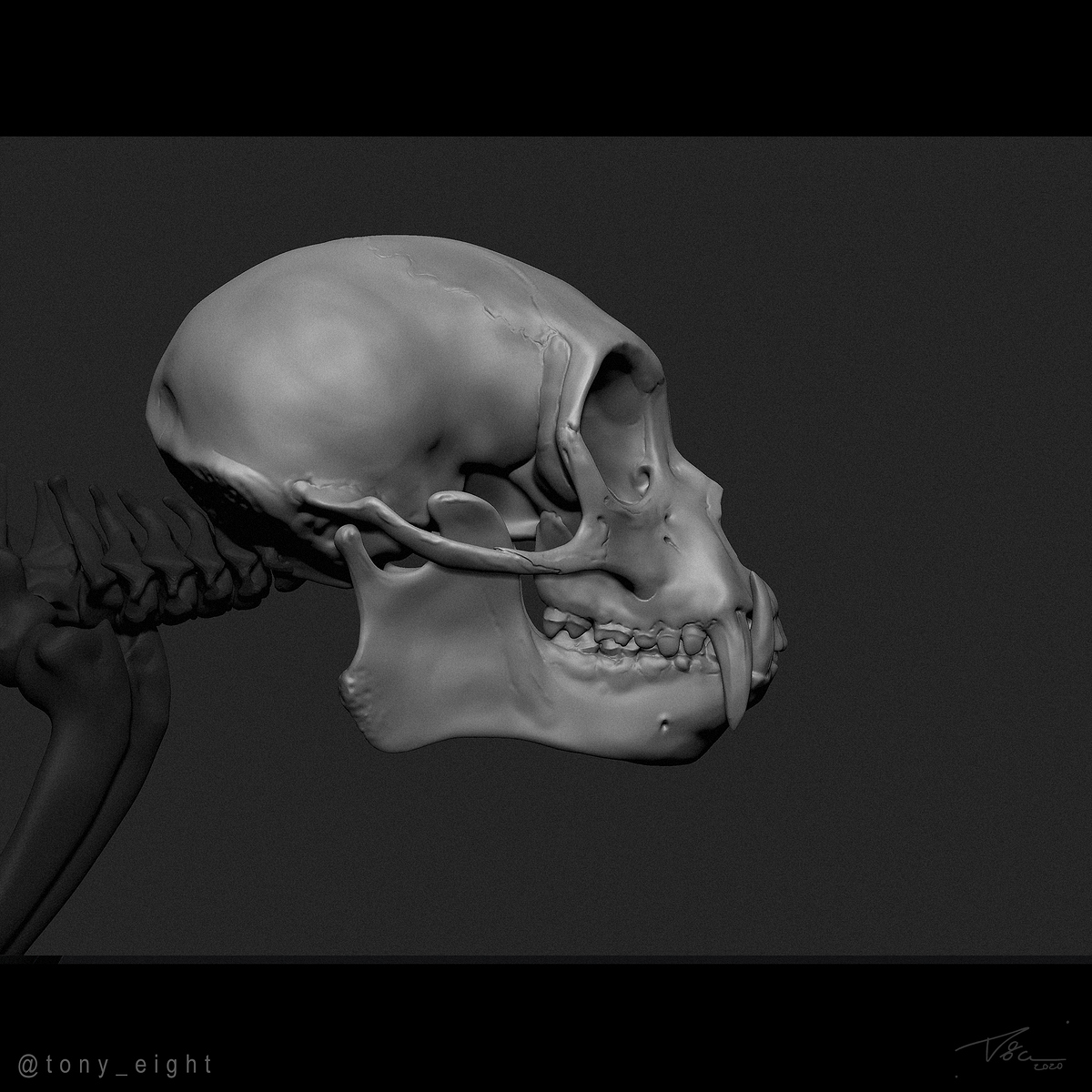 square_monkey_04