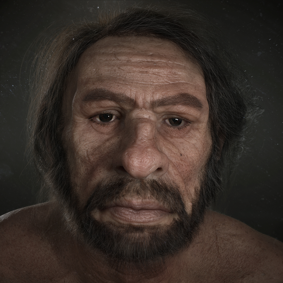 5Neanderthal-Front
