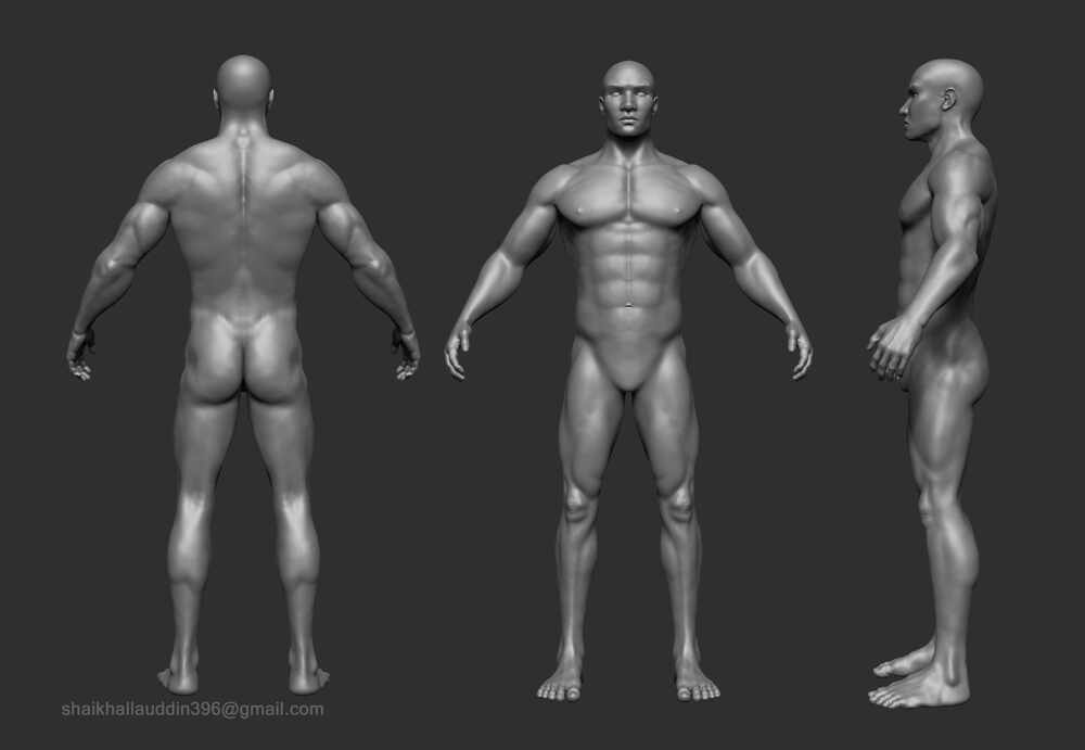 BodySculp