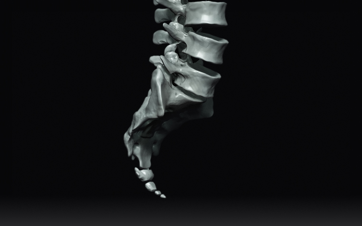 Sacrum3