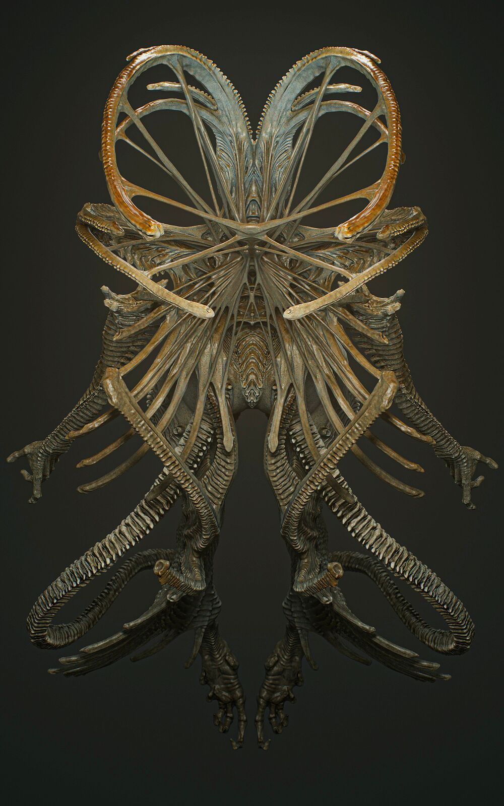 Partially2_Cold_Symmetry_006