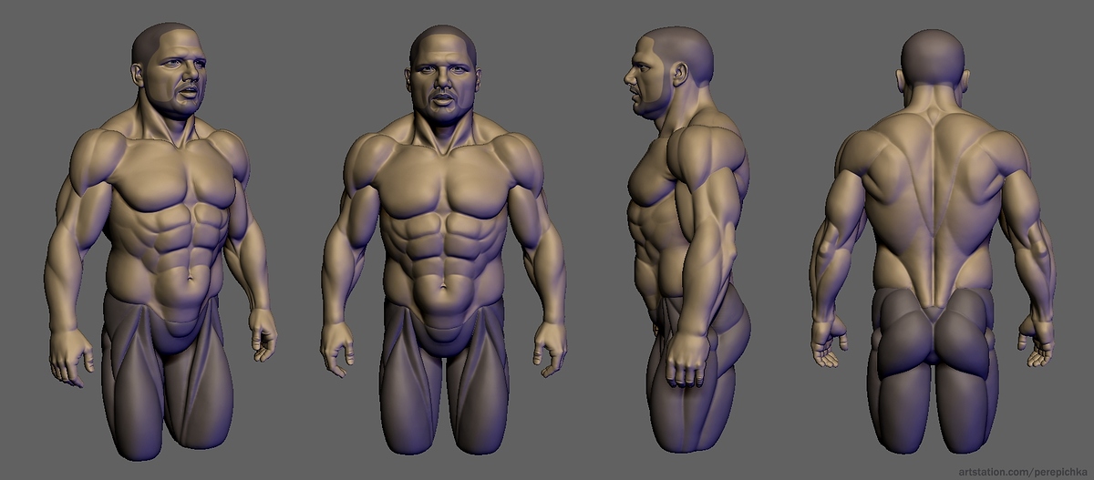 AJStyles_body_v1_hp