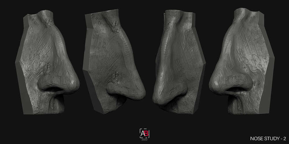 Nose Study_2