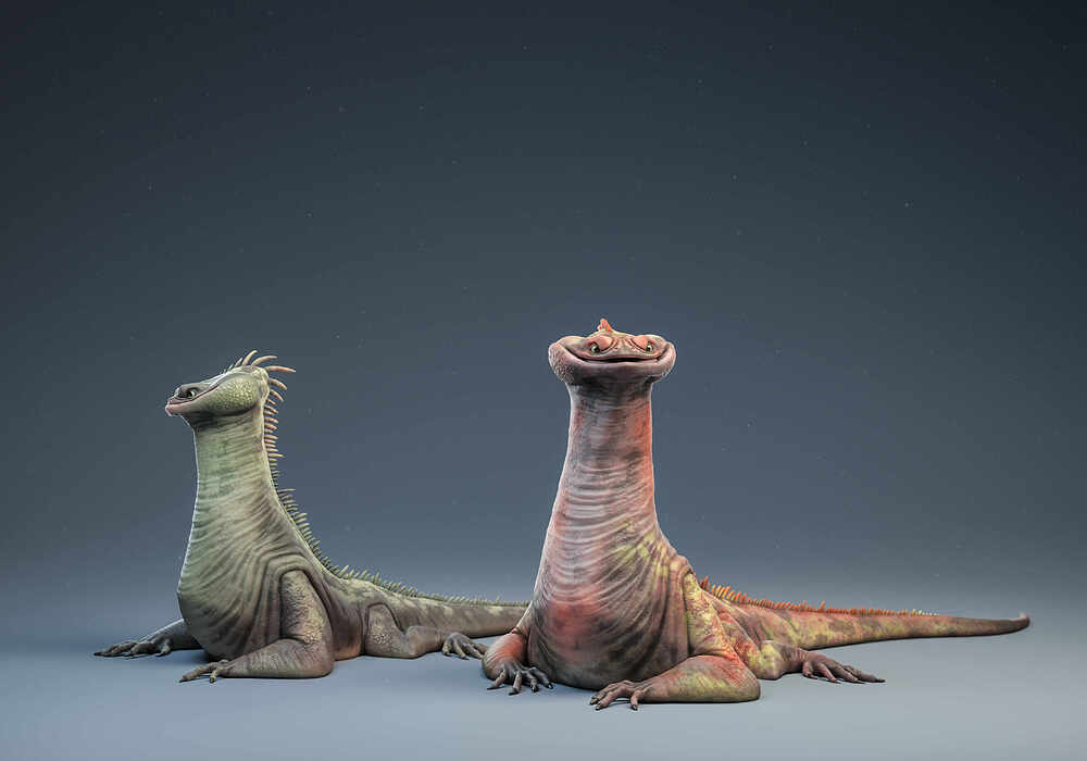 IGUaaN_01
