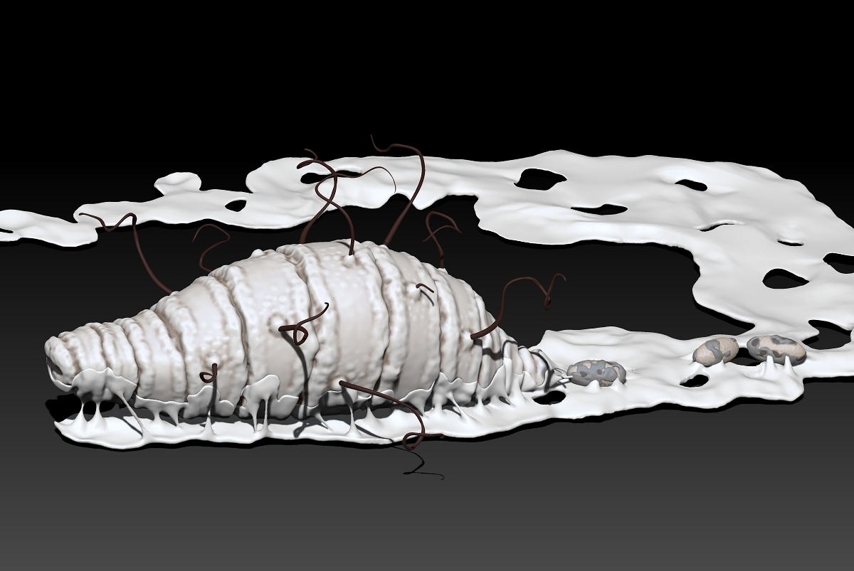 Parasite 5.jpg