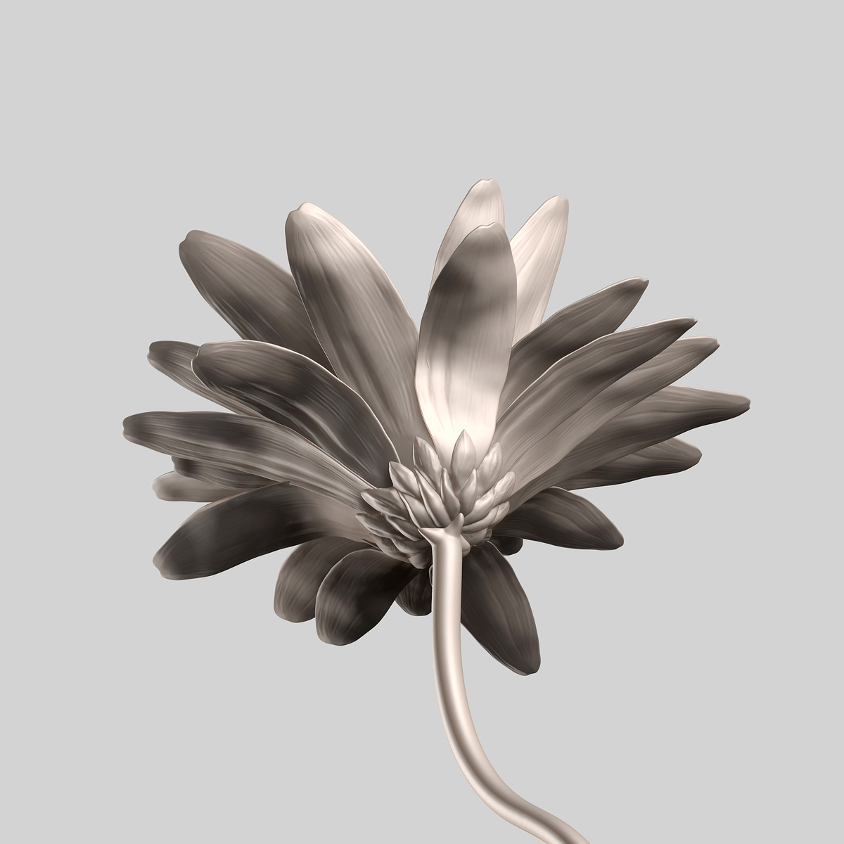 FlowerBottomEdit