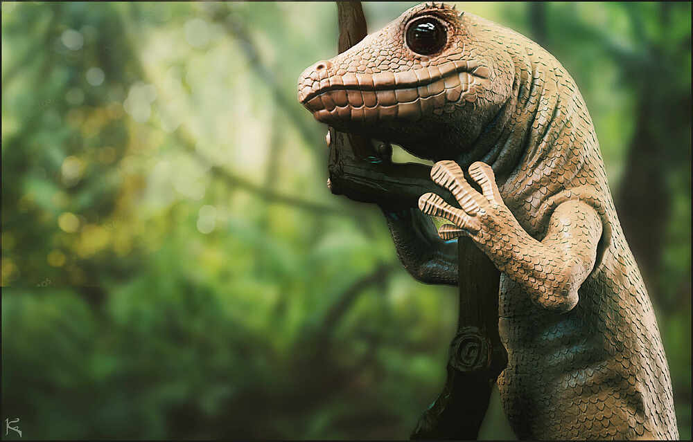 Gecko_Sketch_1001