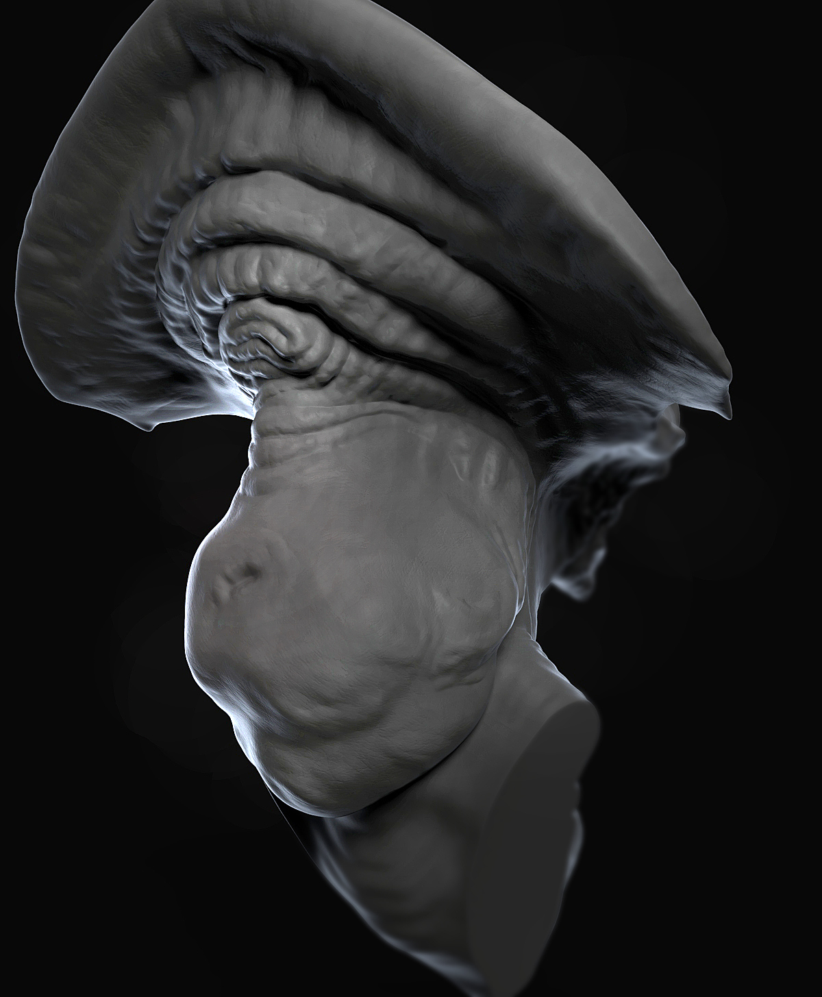R_07.jpg