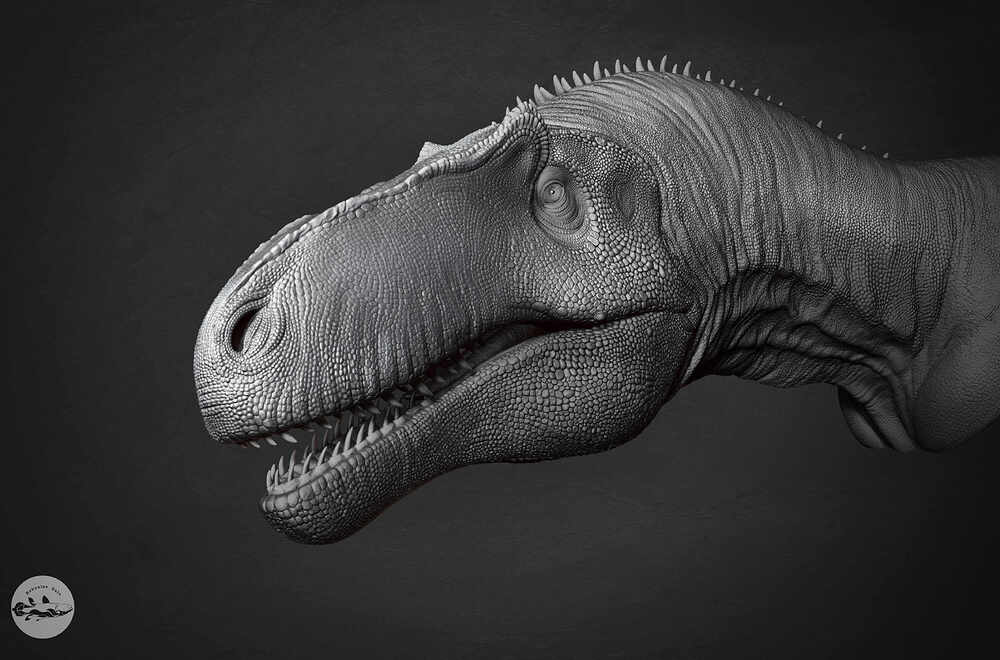 Render_0_003