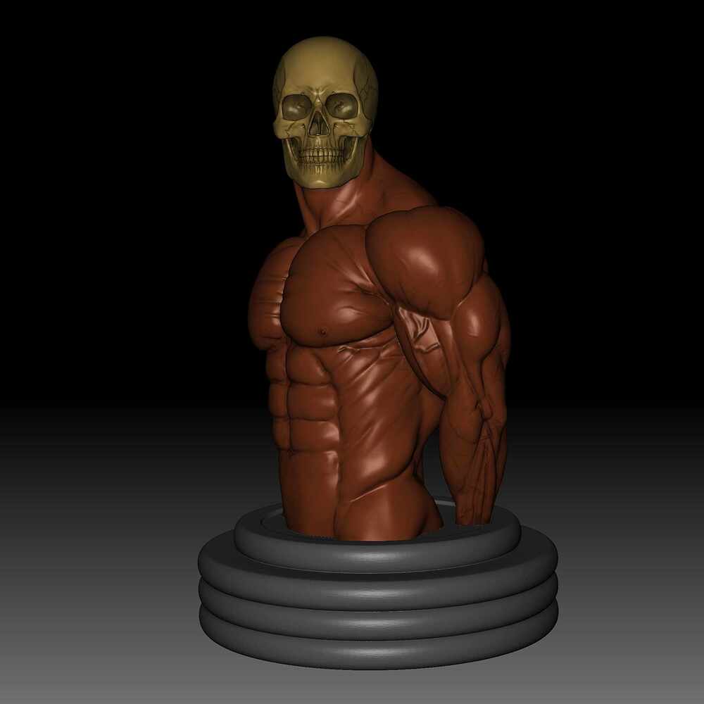 Body 42