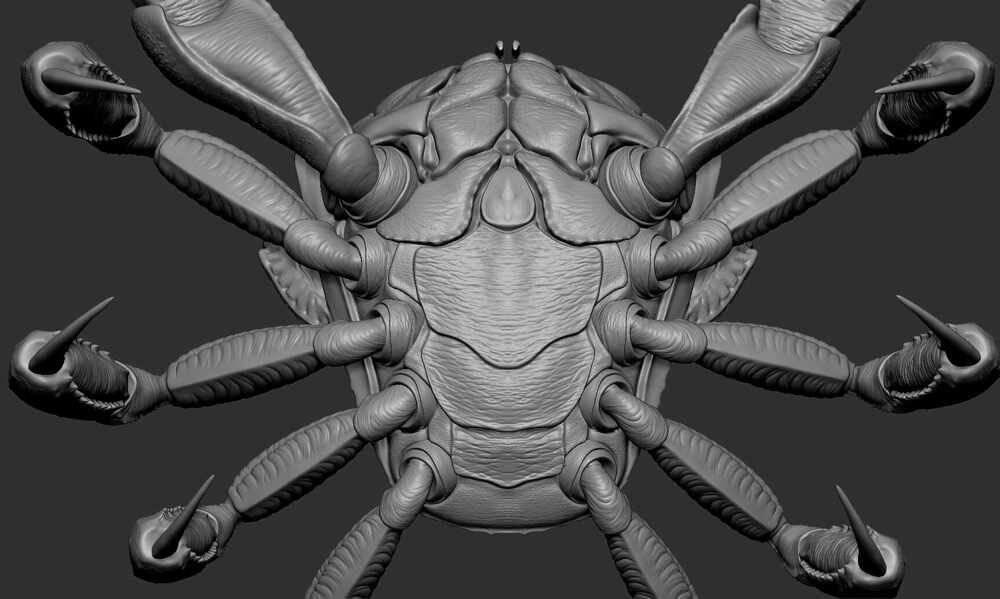 Crab_prev_03