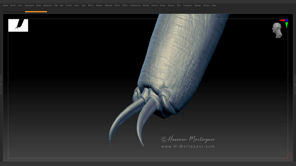 Jumping_Spider_WIP_07