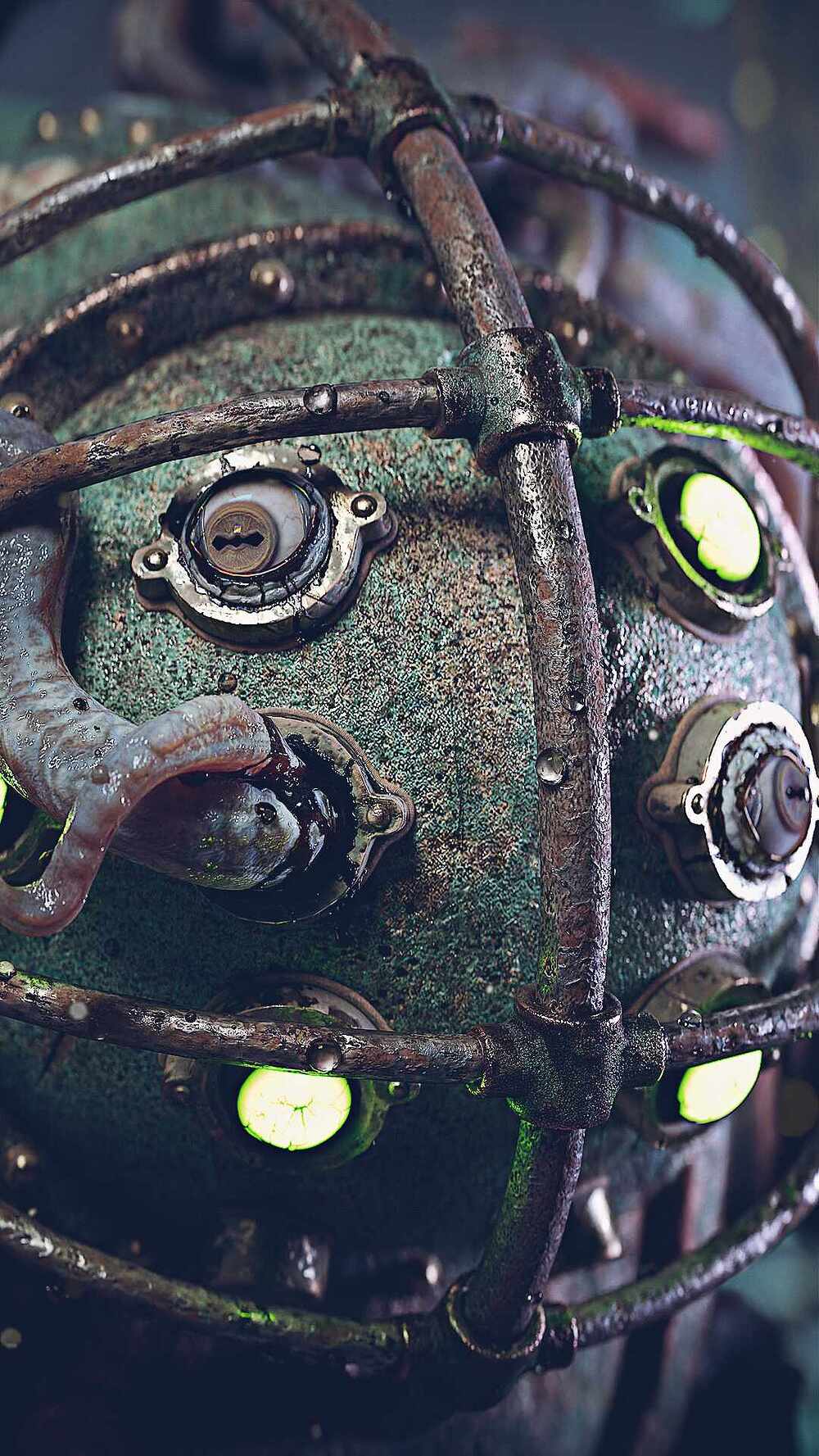 bd_closeup_01