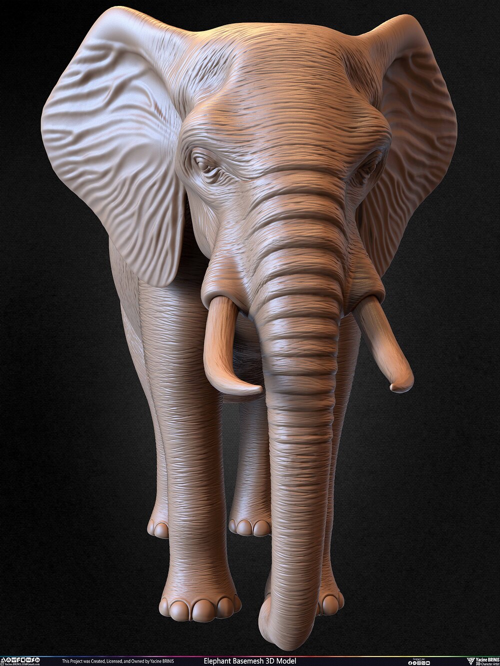 Elephant Basemesh 3D Model Animal Sculpted by Yacine BRINIS Set 032