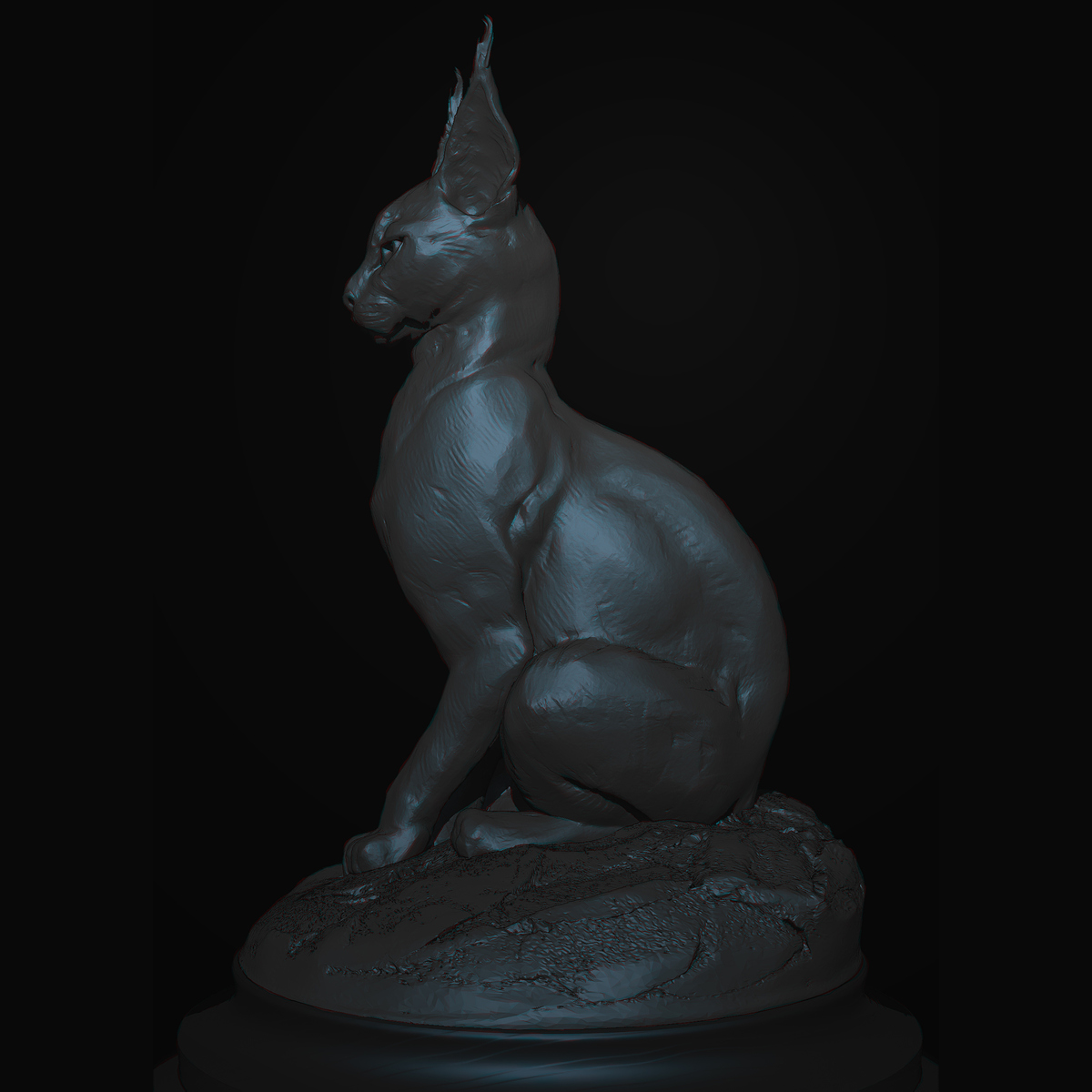 Dark%20Caracal_2