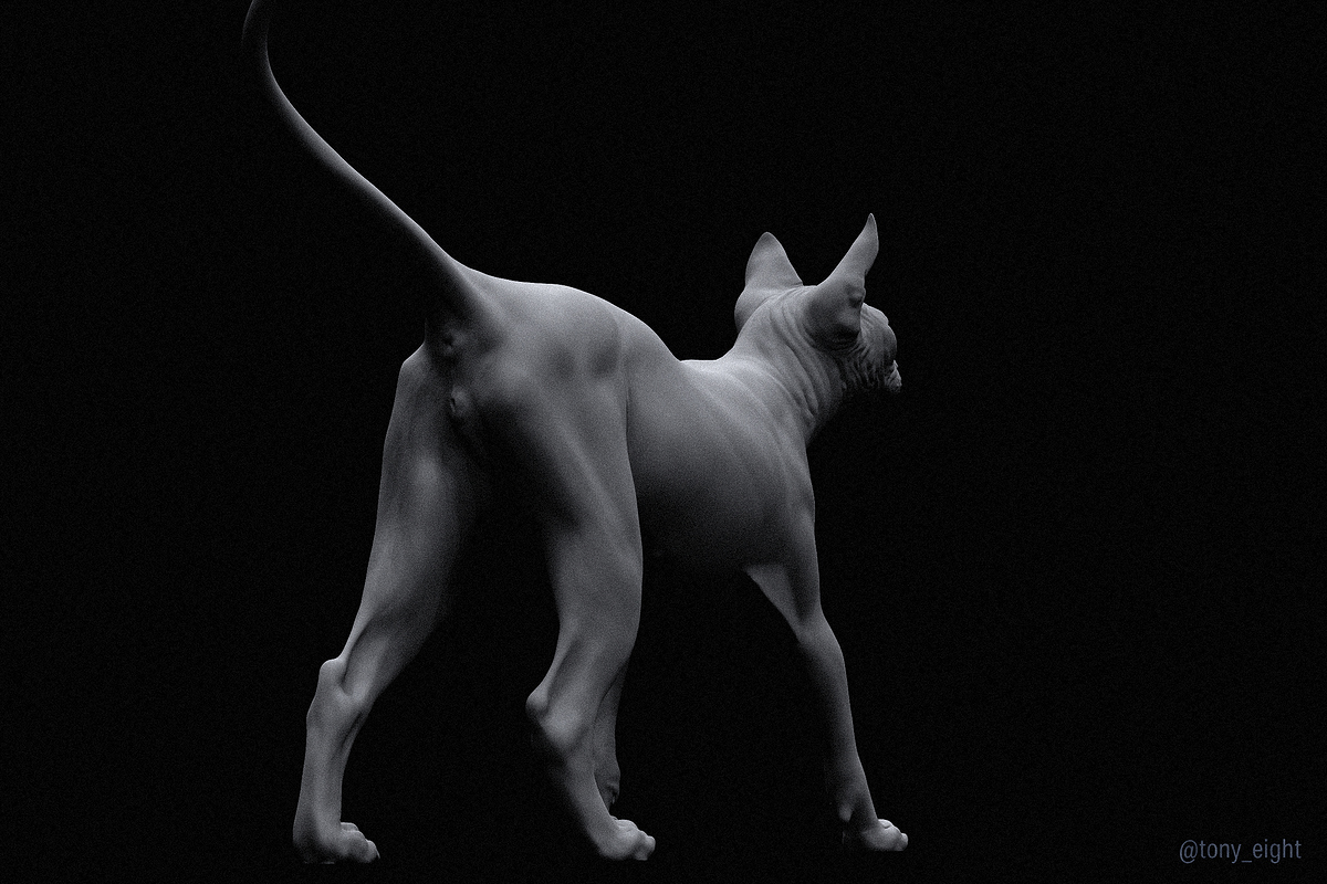 sphynx_render_04