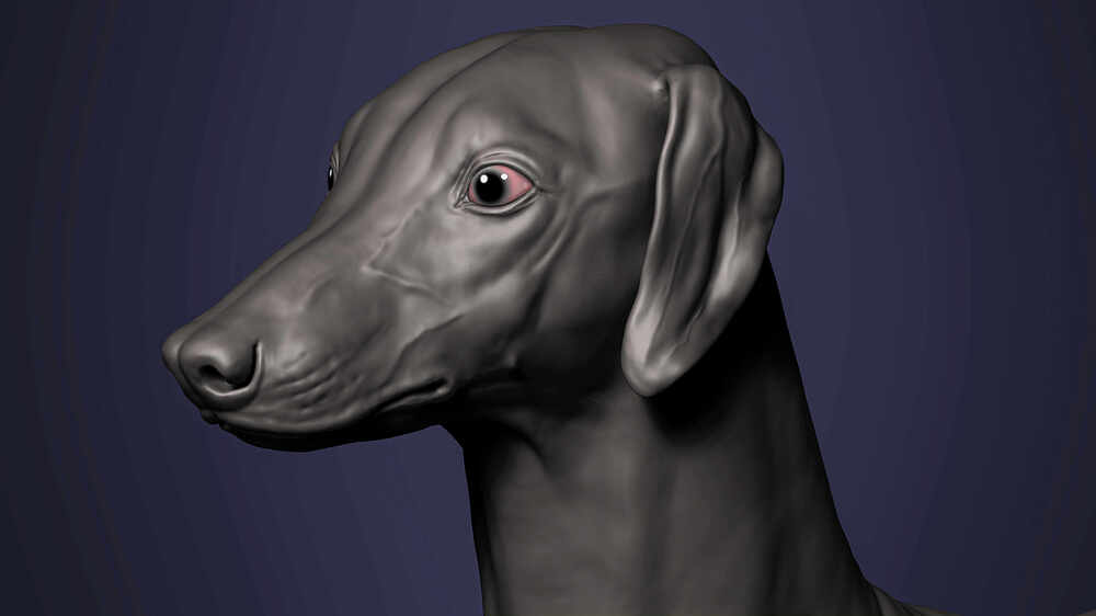 zbrush_04