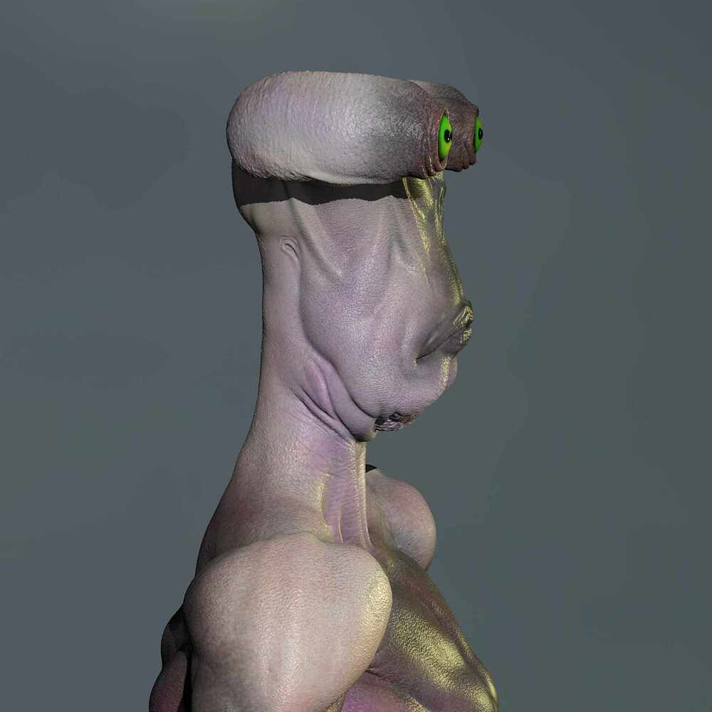 Untitled_Viewport_003