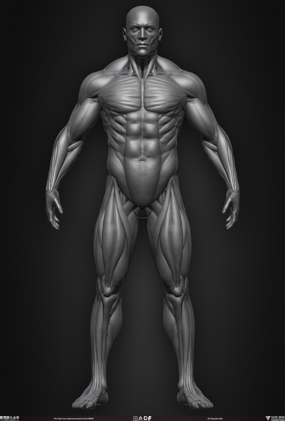 Male Human Muscles 3D Model sculpted by Yacine BRINIS 008