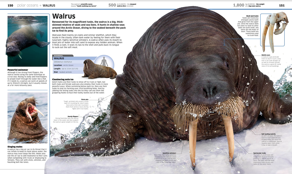 Screenshot 2020-04-27 at 11.45.16