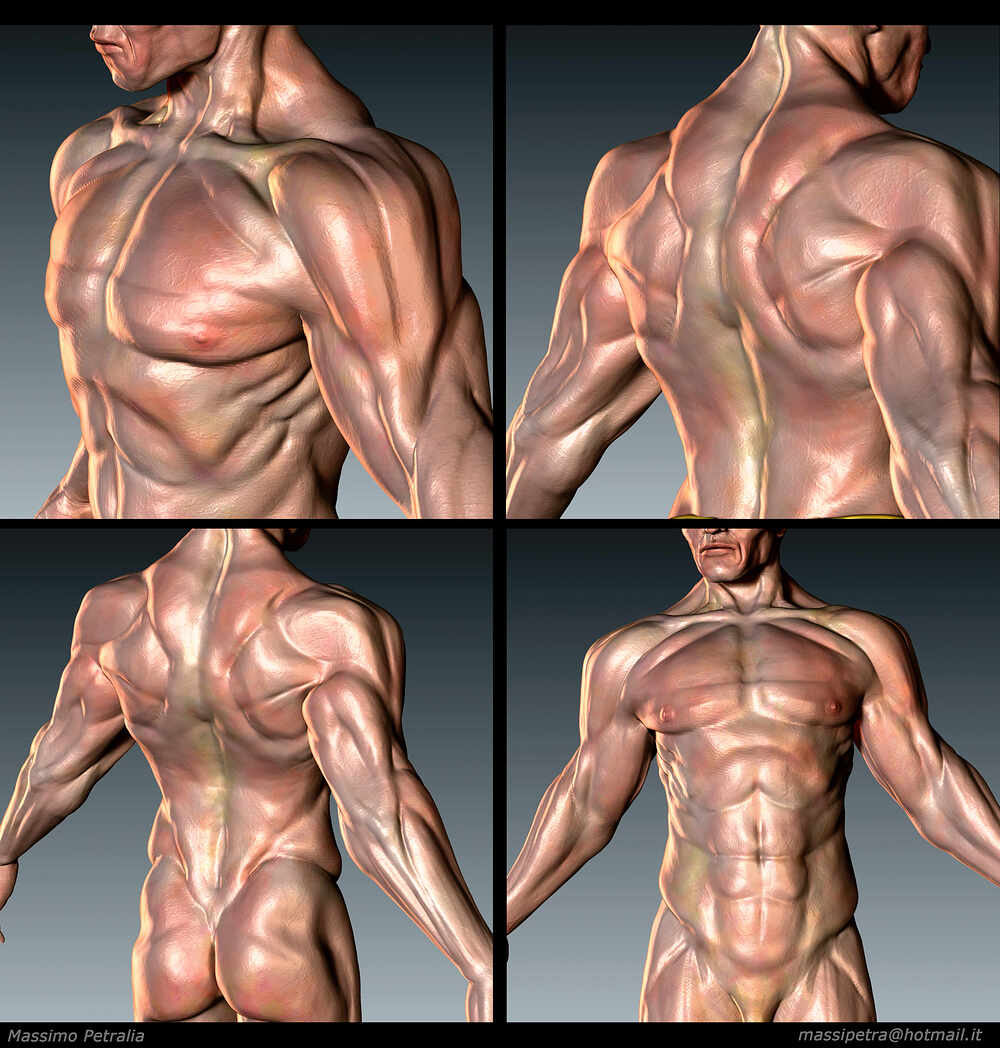 dettagli anatomici