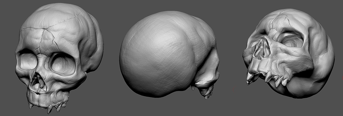 Skull Sculpt_02.jpg