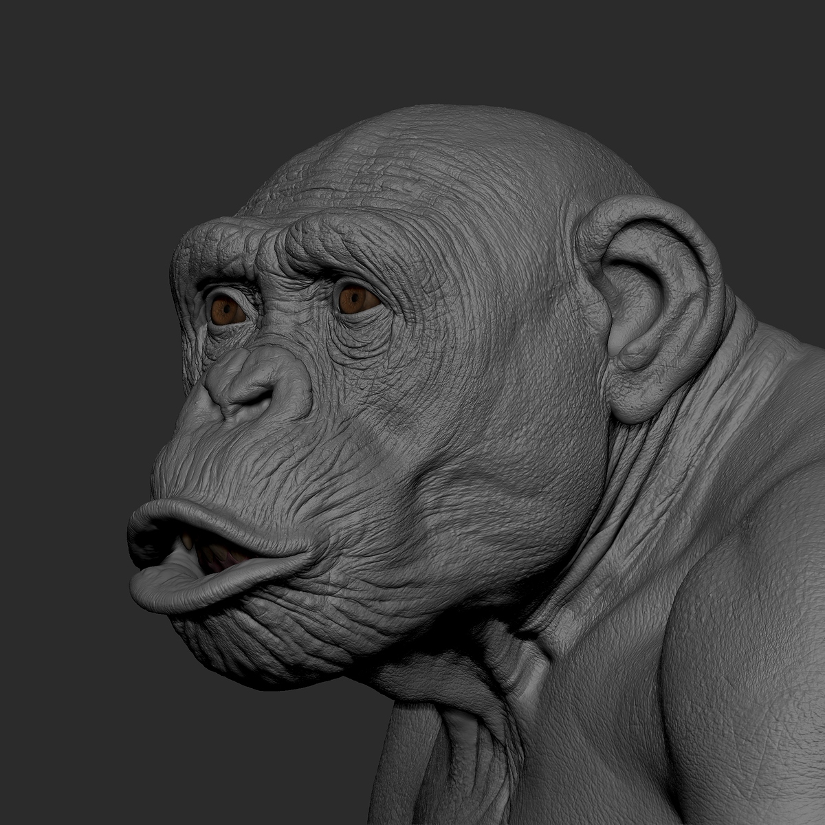 ZBrush_1006