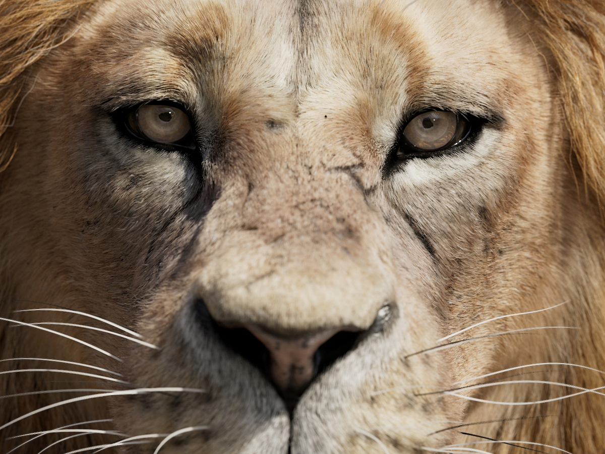 closeup_05