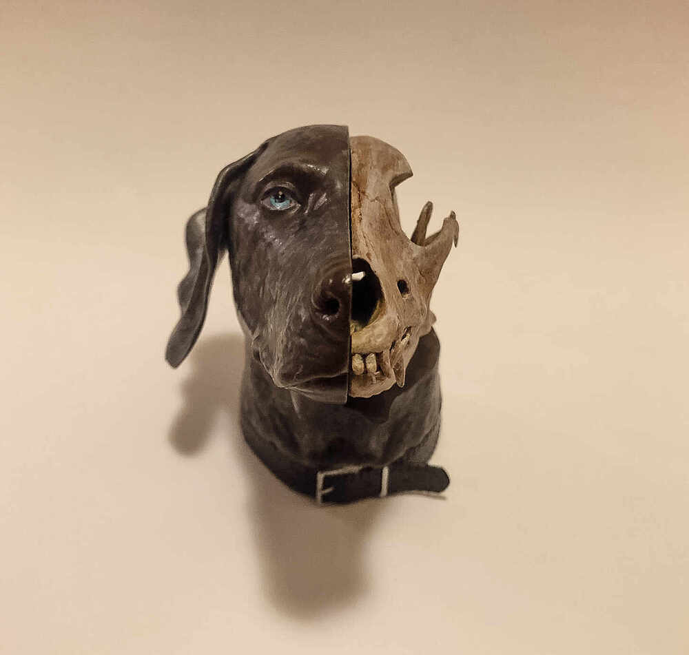 weimaraner paintjob-2