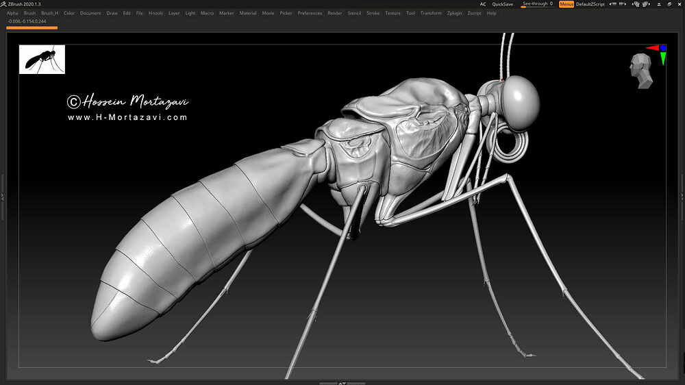 Butterfly_WIP-www.h-mortazavi.com