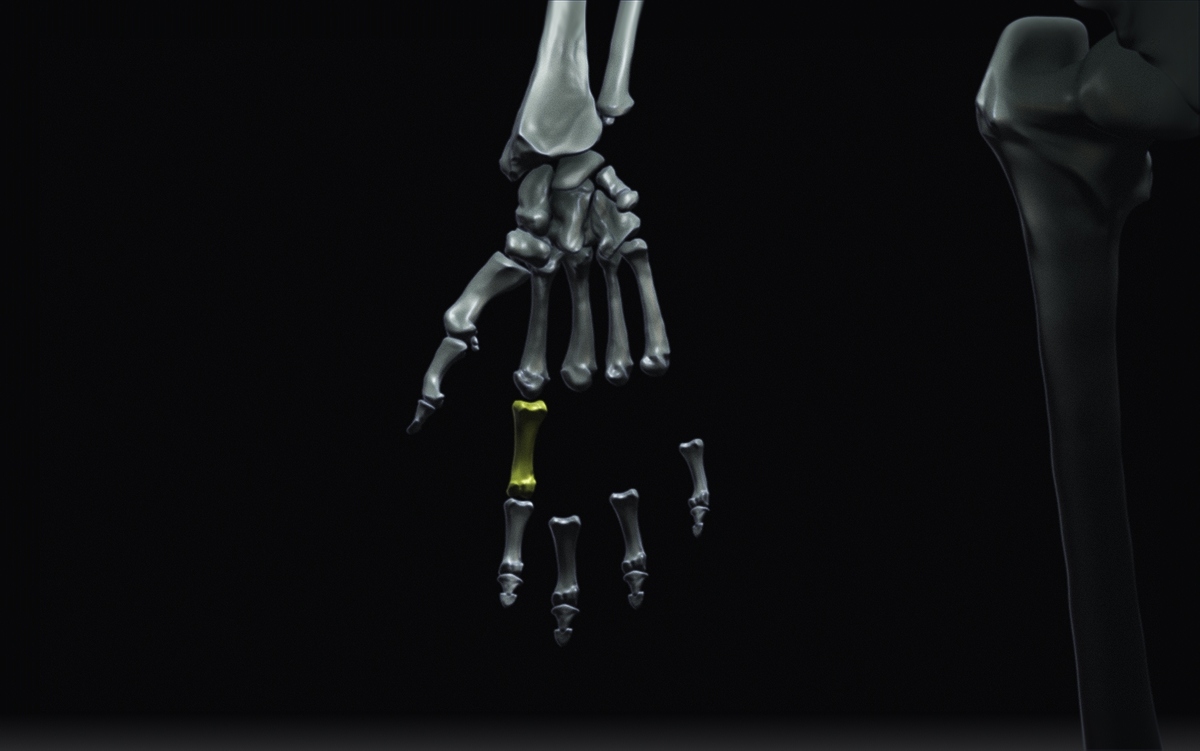 Hands2