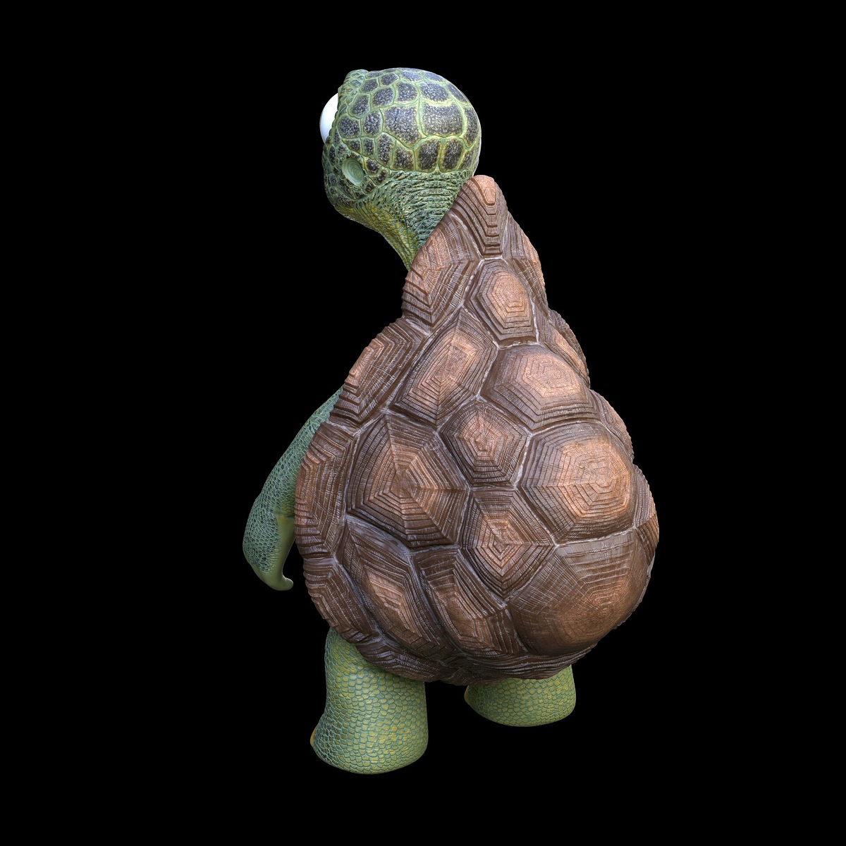 jorge-silva-tortugaback