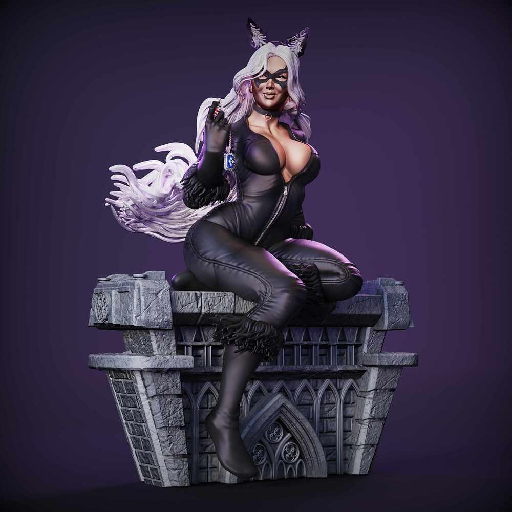 BLACK CAT CAMERA 1.467
