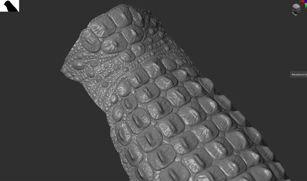 charCrocodile_sc_005