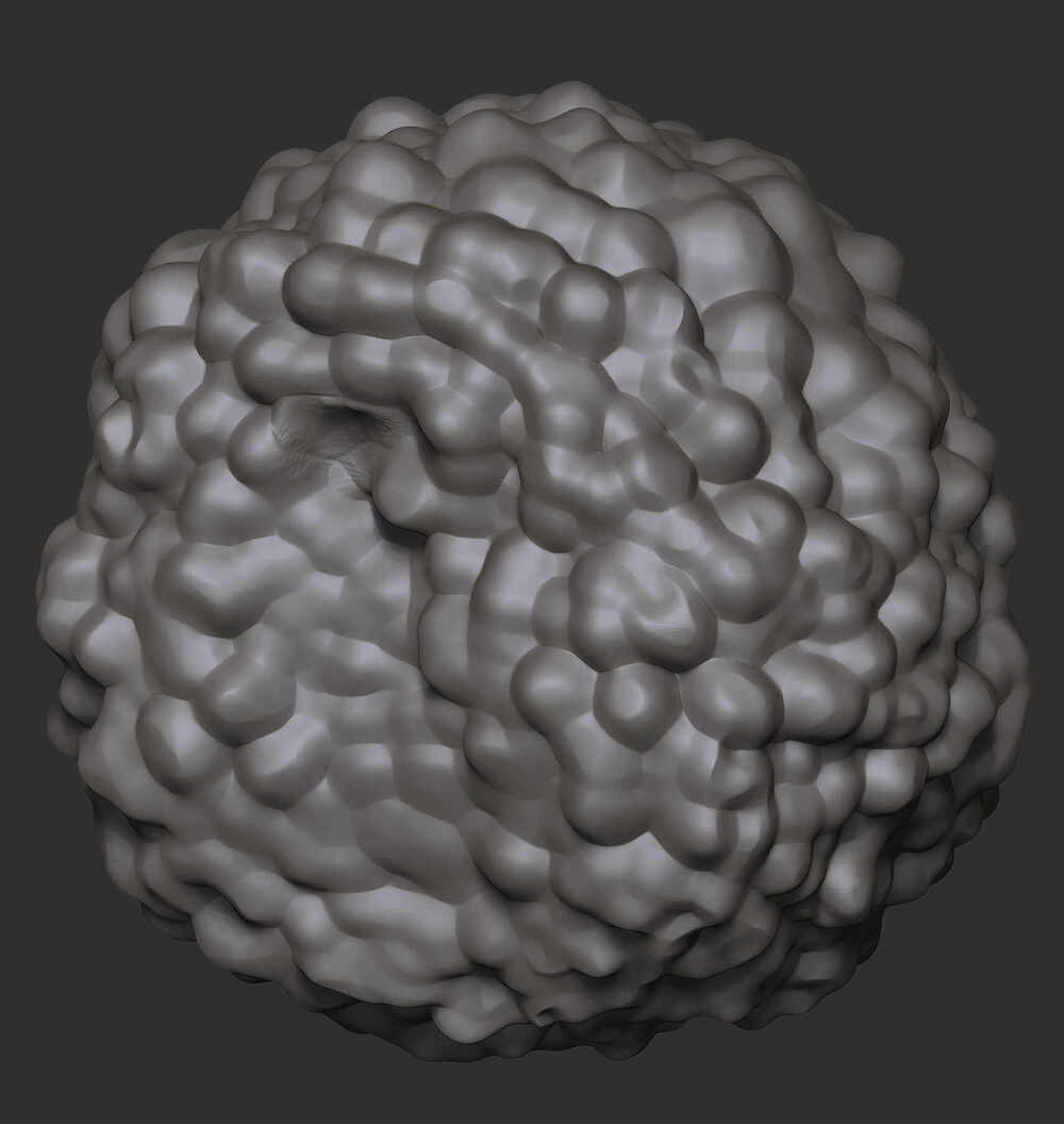 ZBrush Document8