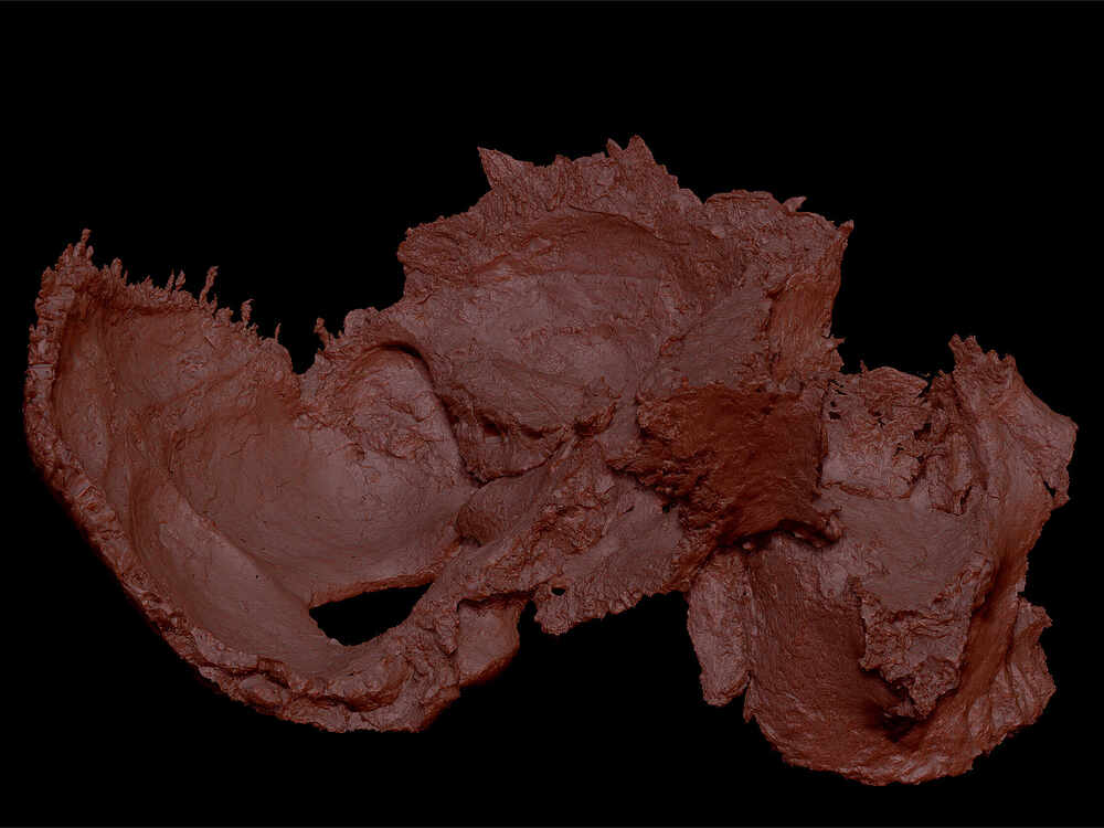 ZBrush-Document8288