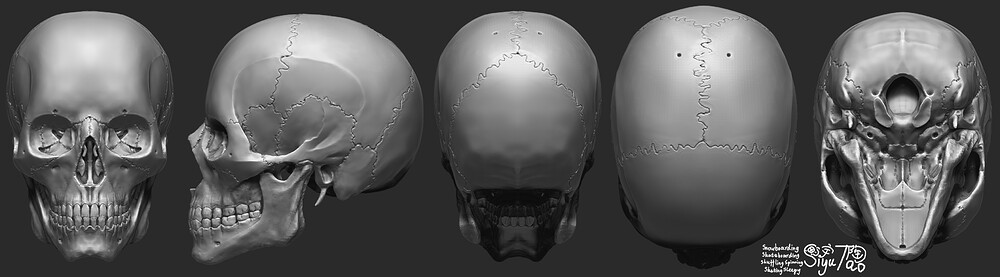 Skull01