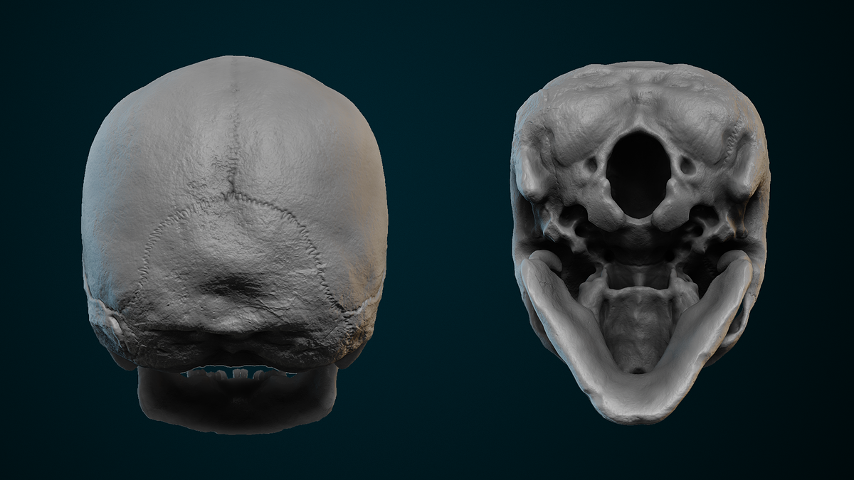 Skull_HP_02