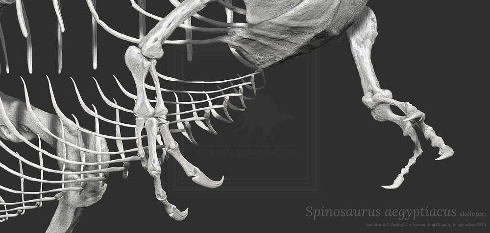 ZBrush Document4