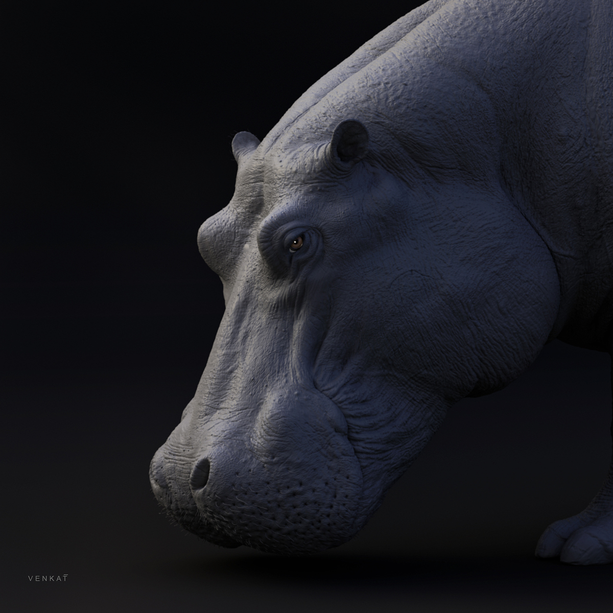 hippoThumb_15_fx