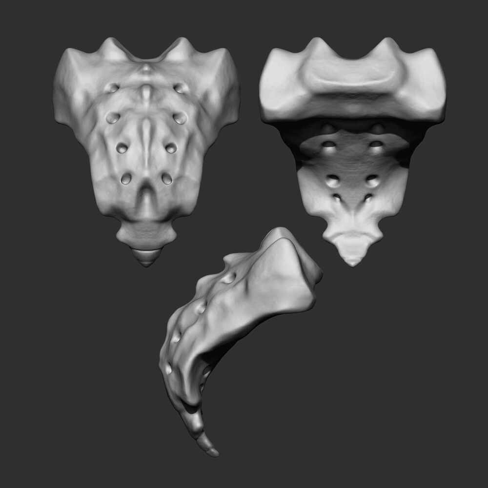sacral