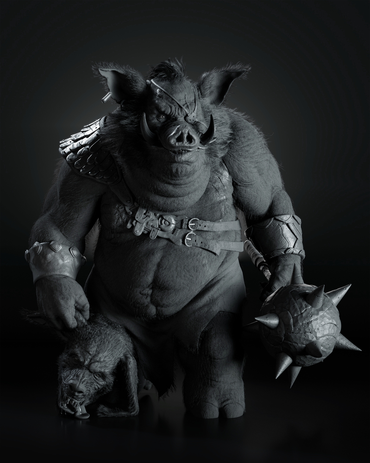 boar_daily_029-4hr-grey-forweb