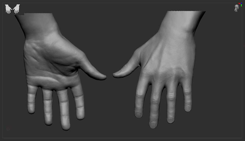 hand_detail