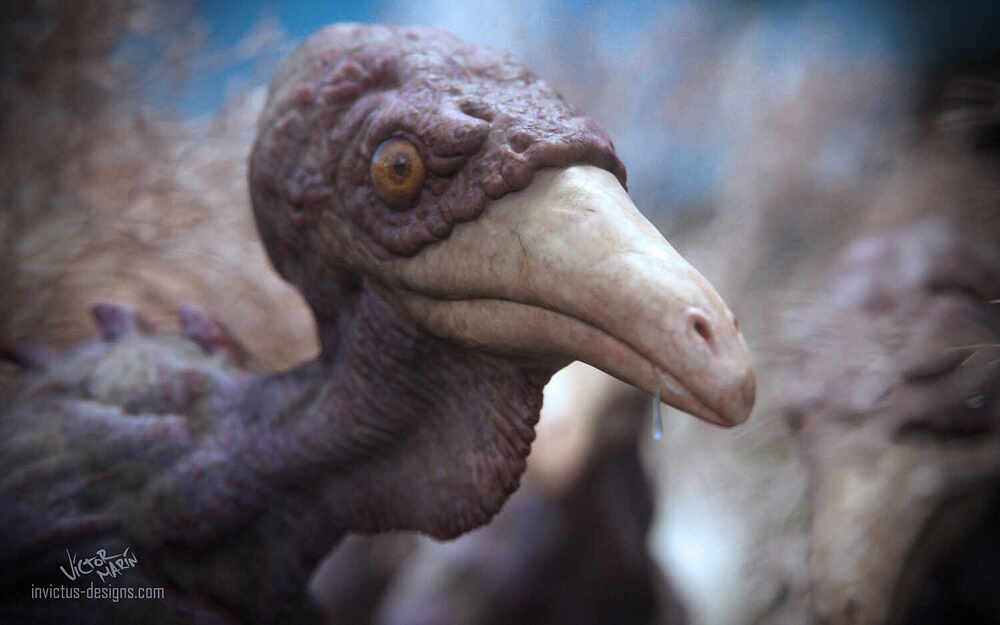 Pollo