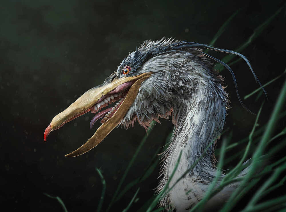 Heron1smol