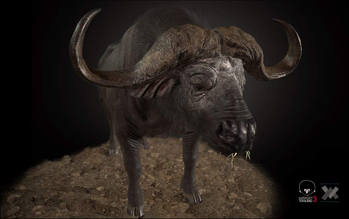 Buffalo_b