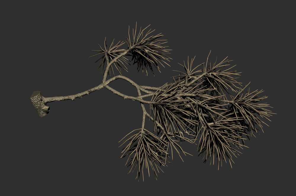 Branc03