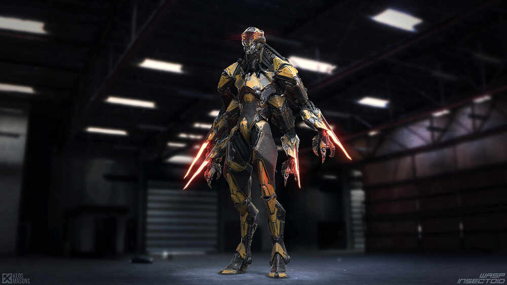 wasp_03