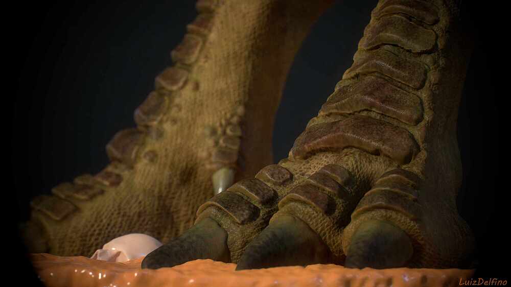 Foot