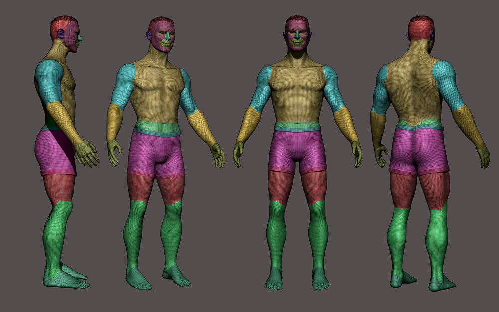 WIP-Body-LineUp-LwRz-PG